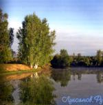 Река Шнара у села Лопатино.jpg