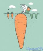 заяц и морковь.jpg